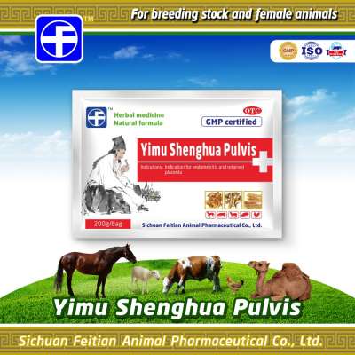 Chinese traditional herbal medicine motherwort dam use healthy body Yimu Shenghua pulvis