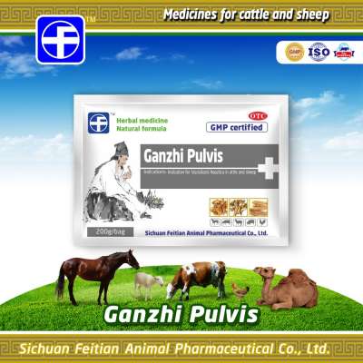 Ganzhi Pulvis / Medicine for veterinary cattle herbal / Fasciola hepatica