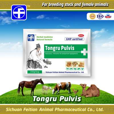 Tongru Pulvis / Animal veterinary medicine / Female postpartum hypogalactia Tongru pulvis